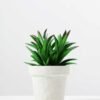 12.5CM  plant potted*3 GS-3180039