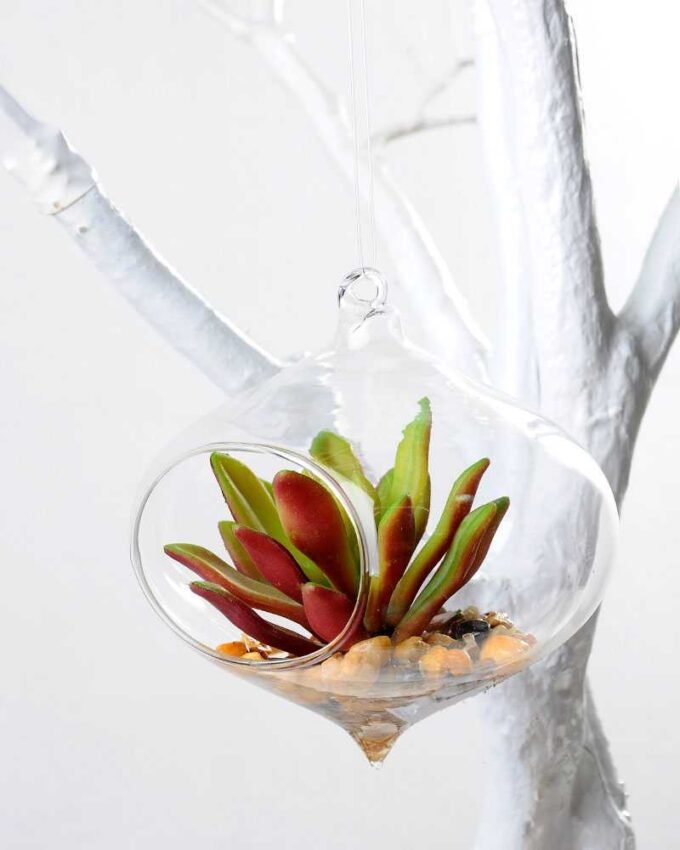 Dia.:11cm H:11cm Succulent Plant in Glass Ware GS-3180057