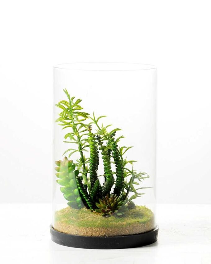 desert plant in glass pot GS-3180062 1 desert plant in glass pot GS-3180062