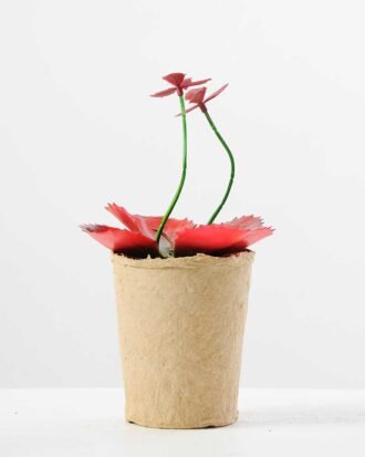 succulent plant in paper pot GS-3180065 Succulent YeahFlower is one of Chinese leading OEM manufacturers and exporters , supplying the silk flowers, wholesale artificial trees succulent plant in paper pot GS-3180065