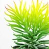 succulent plant in paper pot GS-3180068