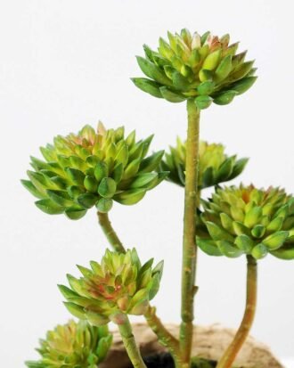 succulent plant in paper pot GS-3180072 Succulent YeahFlower is one of Chinese leading OEM manufacturers and exporters , supplying the silk flowers, wholesale artificial trees succulent plant in paper pot GS-3180072