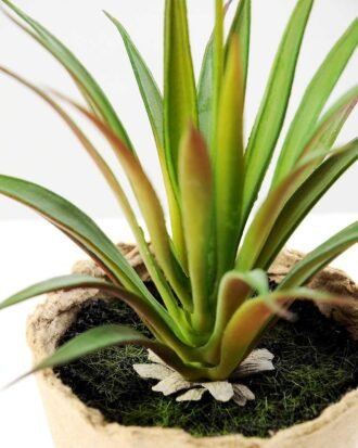 grass plant in paper pot GS-3180081 Succulent YeahFlower is one of Chinese leading OEM manufacturers and exporters , supplying the silk flowers, wholesale artificial trees grass plant in paper pot GS-3180081