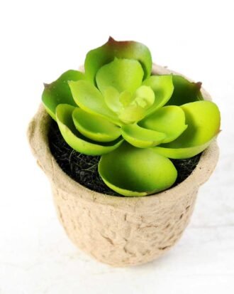 Maybeline plant in paper pot GS-3180087 Succulent YeahFlower is one of Chinese leading OEM manufacturers and exporters , supplying the silk flowers, wholesale artificial trees Maybeline plant in paper pot GS-3180087