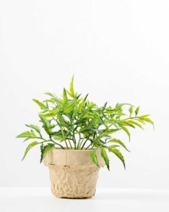 Pepper leaf plant in paper pot GS-3180088 Succulent YeahFlower is one of Chinese leading OEM manufacturers and exporters , supplying the silk flowers, wholesale artificial trees Pepper leaf plant in paper pot GS-3180088