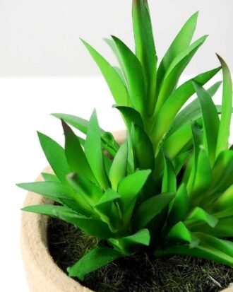 plant in paper pot*3 GS-3180093 Succulent YeahFlower is one of Chinese leading OEM manufacturers and exporters , supplying the silk flowers, wholesale artificial trees plant in paper pot*3 GS-3180093