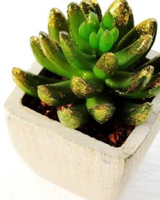 12.5cm encrinite in pot GS-3180102 Succulent YeahFlower is one of Chinese leading OEM manufacturers and exporters , supplying the silk flowers, wholesale artificial trees 12.5cm encrinite in pot GS-3180102