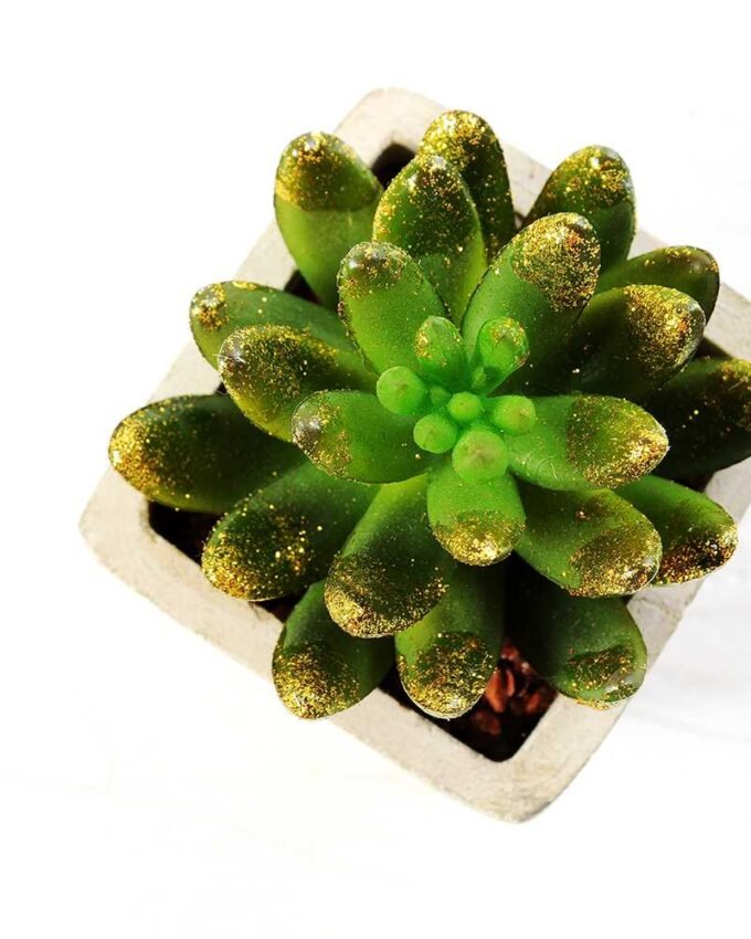 12.5cm   encrinite in  pot GS-3180102
