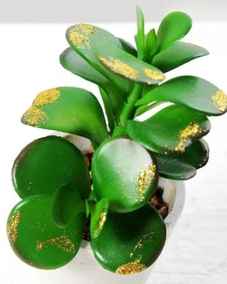 14cm succulent plant in paper pot*3 GS-3180113