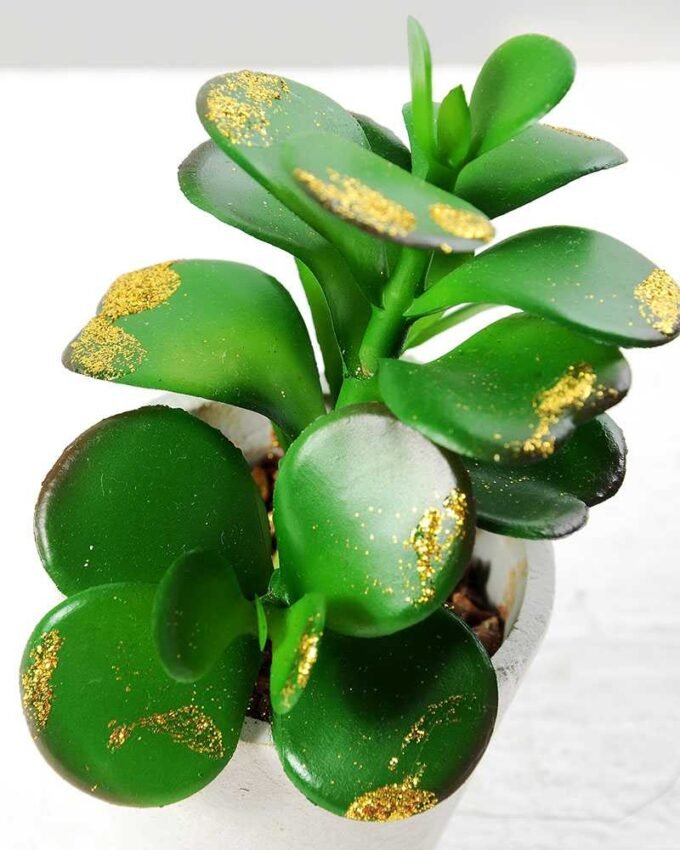 14cm succulent plant in paper pot*3 GS-3180113 2 14cm succulent plant in paper pot*3 GS-3180113