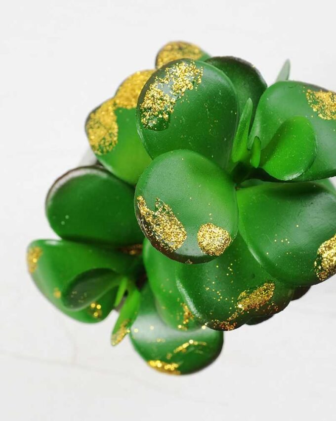 14cm succulent plant in paper pot*3 GS-3180113 3 14cm succulent plant in paper pot*3 GS-3180113