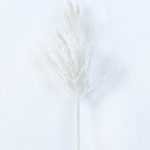 15*55CM Dried?Branch GS-3270157