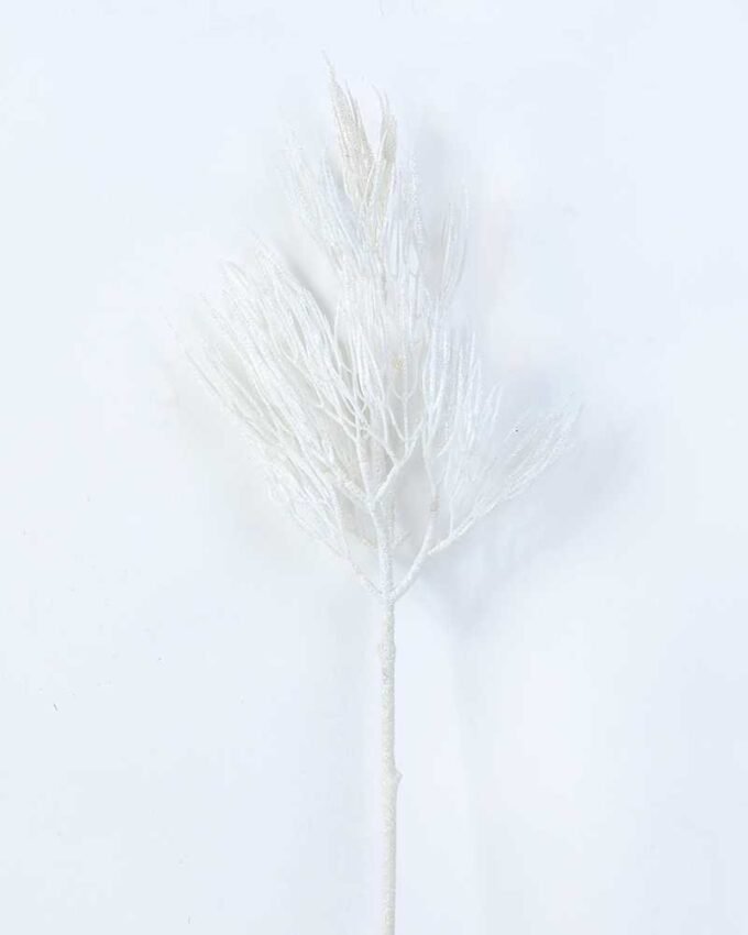 15*55CM Dried?Branch GS-3270157 1 15*55CM Dried?Branch GS-3270157