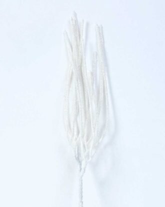 7*29CM Dried?Branch GS-3270158