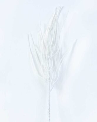 10*41CM Dried?Branch GS-3270159