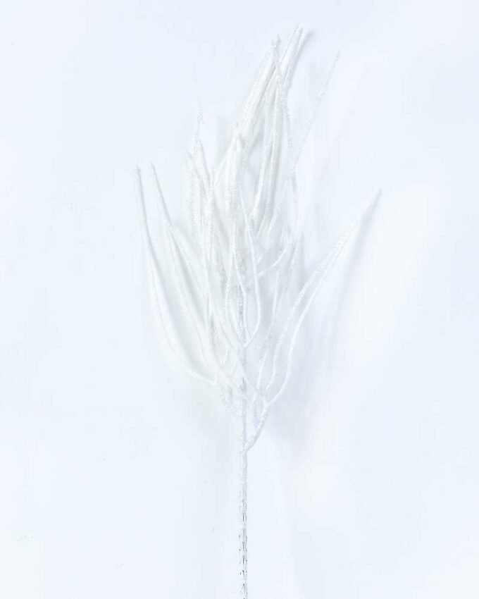 10*41CM Dried?Branch GS-3270159