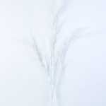 11*107CM Dried?Branch GS-3270168