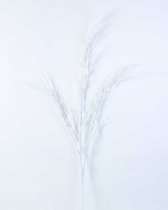 11*107CM Dried?Branch GS-3270168