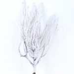 15*32CM Snow Branch Spray GS-3270176