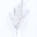 16*57CM Snow Branch Spray GS-3270178