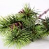20*55CM Pine needle & plastic pine cone GS-3270202