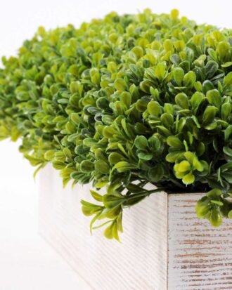 8" many young blue rectangular tubs GS-3300088