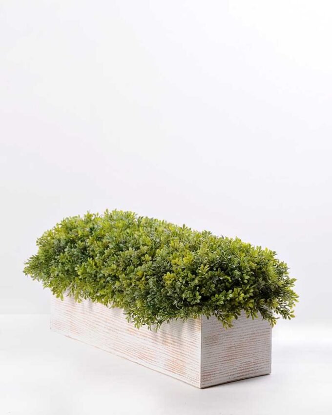 8" rectangular plastic Ye Mupen GS-3300089