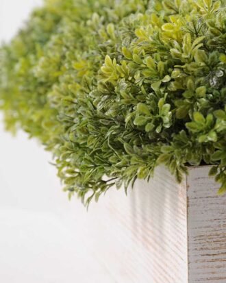 8" rectangular plastic Ye Mupen GS-3300089