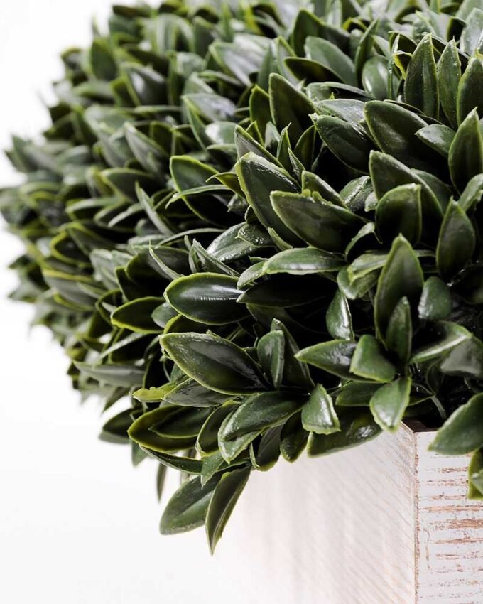 8" oblong pepper leaves GS-3300090 2 8" oblong pepper leaves GS-3300090