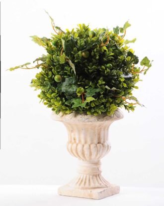 topiary Ball in paper pot GS-3300098