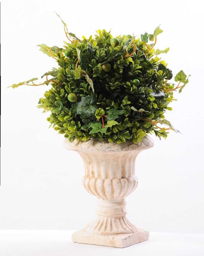 topiary Ball in paper pot GS-3300098