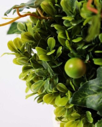 topiary Ball in paper pot GS-3300098