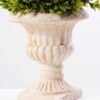 topiary Ball in paper pot GS-3300098