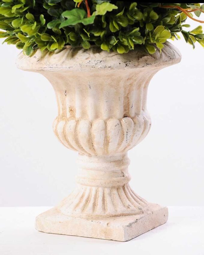 topiary Ball in paper pot GS-3300098