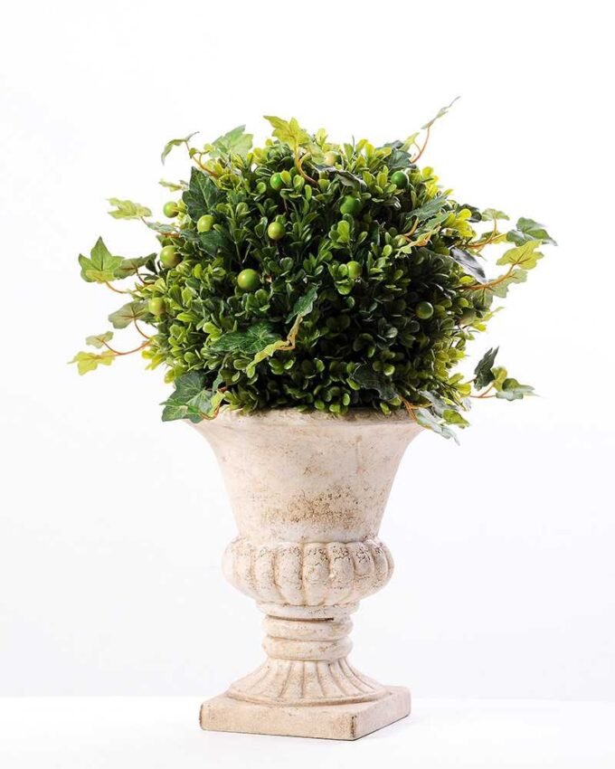 topiary Ball in paper pot GS-3300099