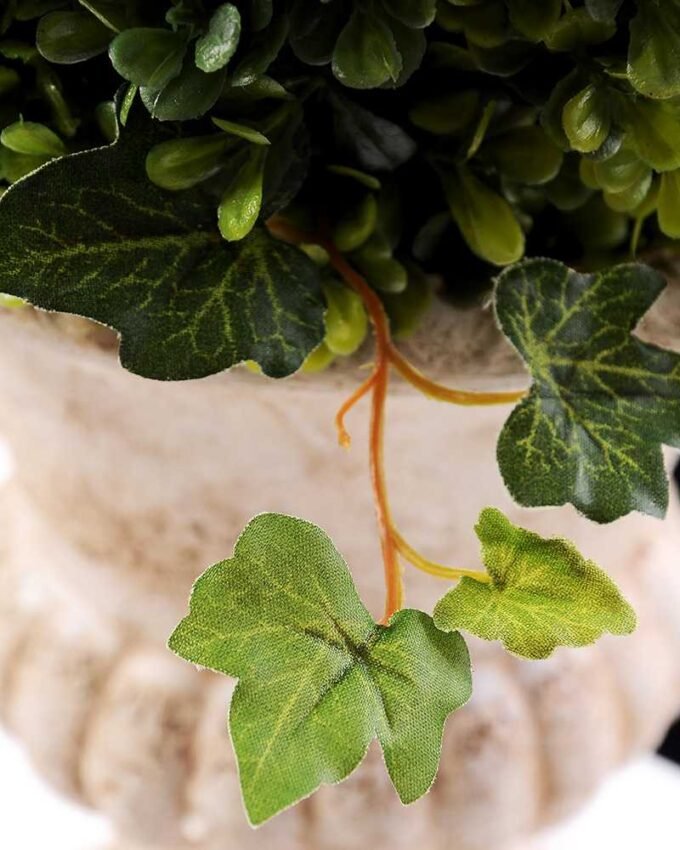 topiary Ball in paper pot GS-3300099