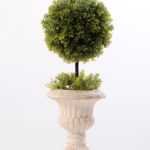topiary Ball in paper pot GS-3300100