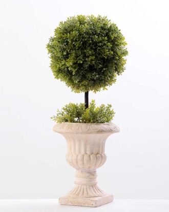 topiary Ball in paper pot GS-3300100