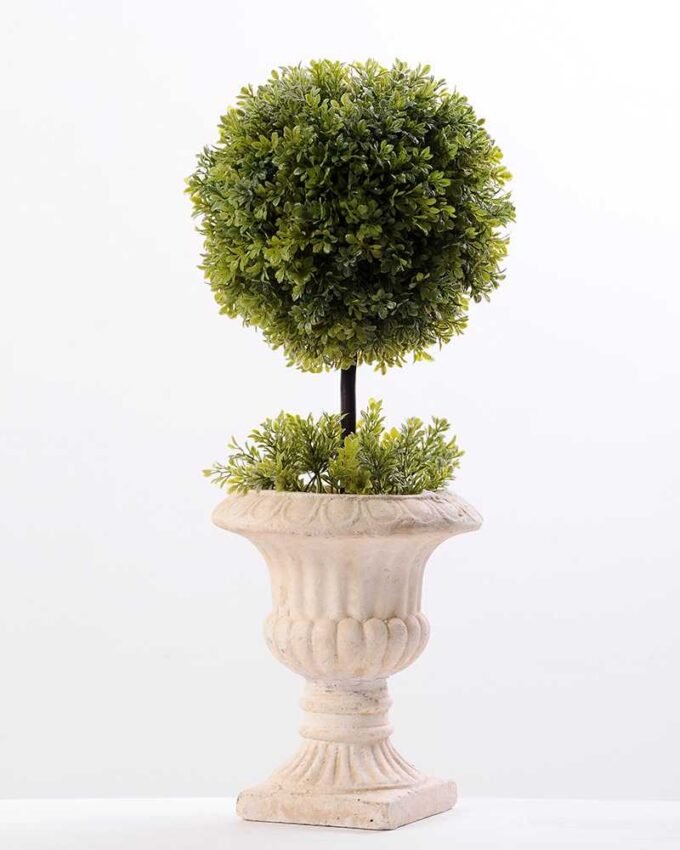 topiary Ball in paper pot GS-3300100 1 topiary Ball in paper pot GS-3300100