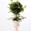 topiary Ball in paper pot  H:48CM GS-3300101