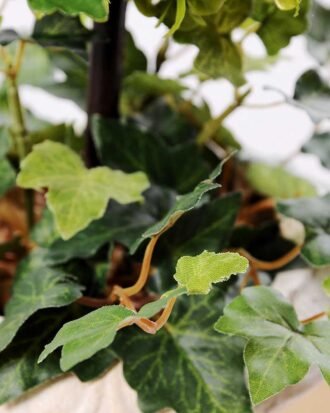 topiary Ball in paper pot  H:48CM GS-3300101