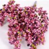 49*74CM BERRY BUSH GS-3330010-R1