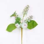 16*27CM BERRY BUSH GS-3330013-B1