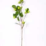 28*96CM Apple branch GS-3330015