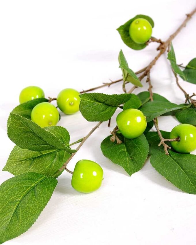 28*96CM Apple branch GS-3330015