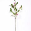 39*98CM FIG branch GS-3330017