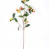 38*99CM Berry branch GS-3330019