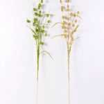 115cm Sparkle pistachio?nuts & Decorative Sprays GS-3350022