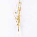 75cm Sparkle pistachio?nuts & Decorative Sprays GS-3350023