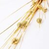 75cm Sparkle pistachio?nuts & Decorative Sprays GS-3350023